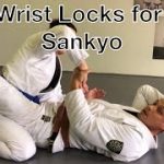 Aiki Wrist Locks for BJJ: Sankyo
